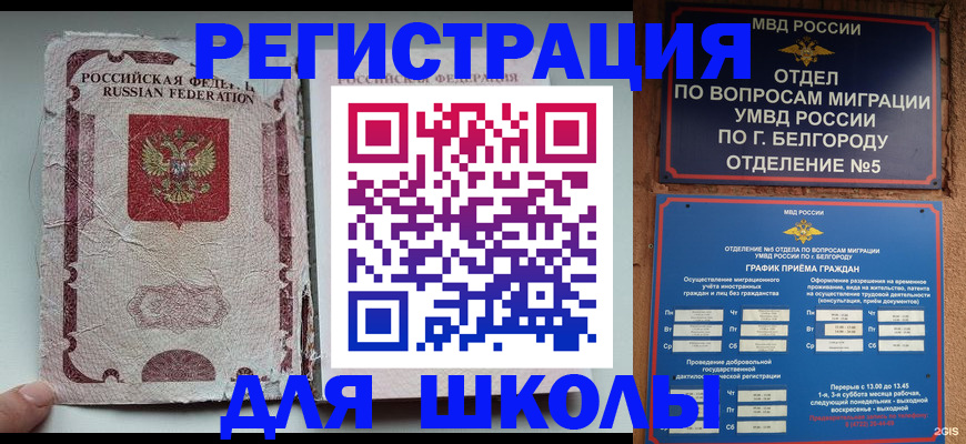 прописка гарантия в Шилке